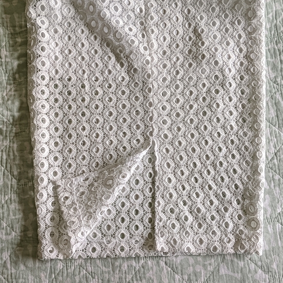 Fitted Lace Midi Skirt - Picture 4 of 4